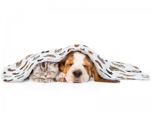 Arctic Fleece Lined Sublimation Blanks Microfiber Pet Blanket (76*101cm/29.9&quot;x39.76&quot;)